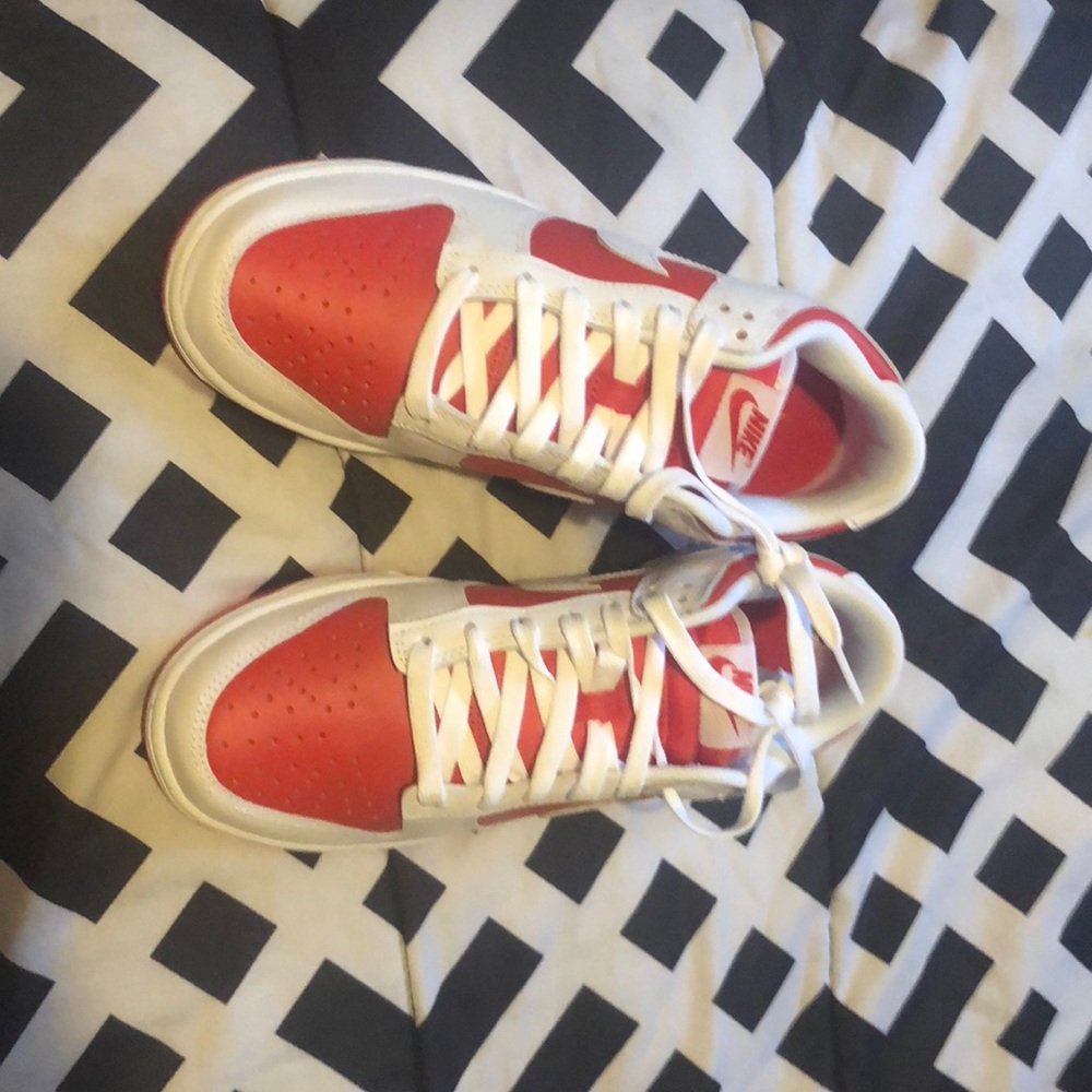 Brand new never worn woman’s dunks willing to negotiate price